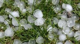 grandine causa danni in basilicata