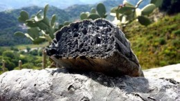 CONTROLLI ANCHE NEL POTENTINO SUL PANE NERO, ECCO I RISULTATI