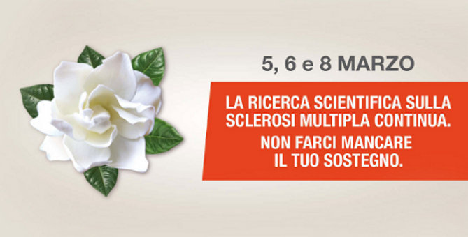 POTENZA: NON ASPETTARE L’8 MARZO PER COMPRARE UNA MIMOSA! SOSTIENI LA RICERCA SULLA SCLEROSI MULTIPLA COMPRANDO UNA GARDENIA!