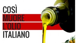 POTENZA: CHE NE SARÀ DELL'OLIO LUCANO CON L'ARRIVO DI QUELLO TUNISINO?