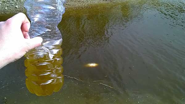 17392968_10208398684099893_995816043_n