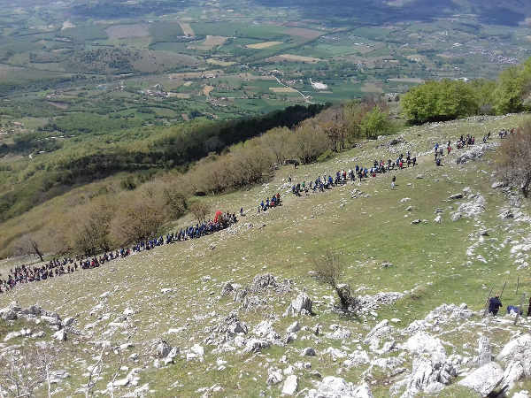 madonna di viggiano2