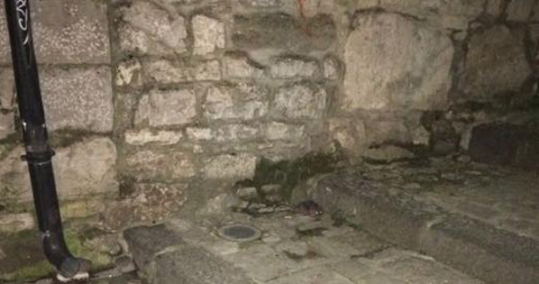 topi arco san Giovanni