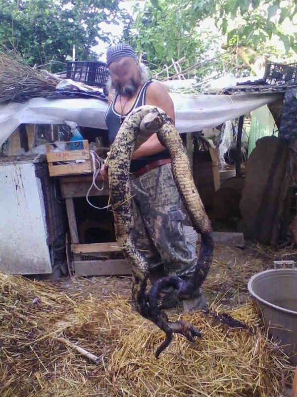serpente1
